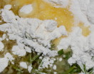 Pasta Brisè al Rosmarino