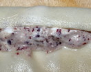 Cannelloni con radicchio trevigiano