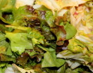 Insalata in sfoglia