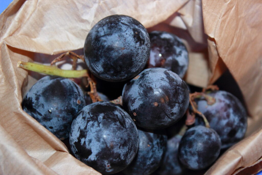Vitamine di Settembre