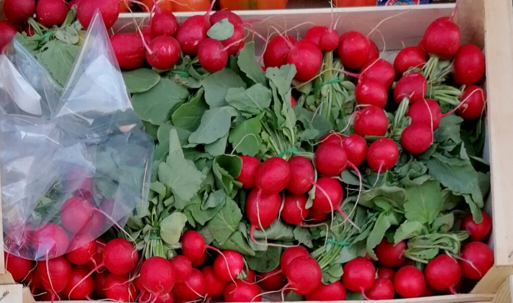 Vitamine di Agosto