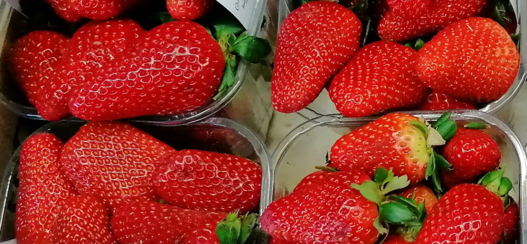 Vitamine di Aprile